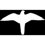 Hinweisschild für Gewerbe und Privat Symbol -Falke-