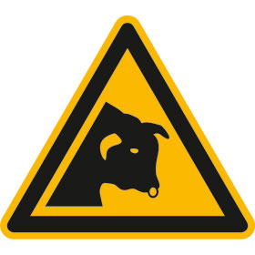 Warnschild Warnung vor Stier