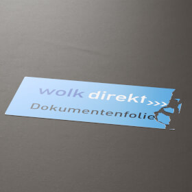 Hinweisschild für Schutzschränke Text: Achtung Alarmgesichert